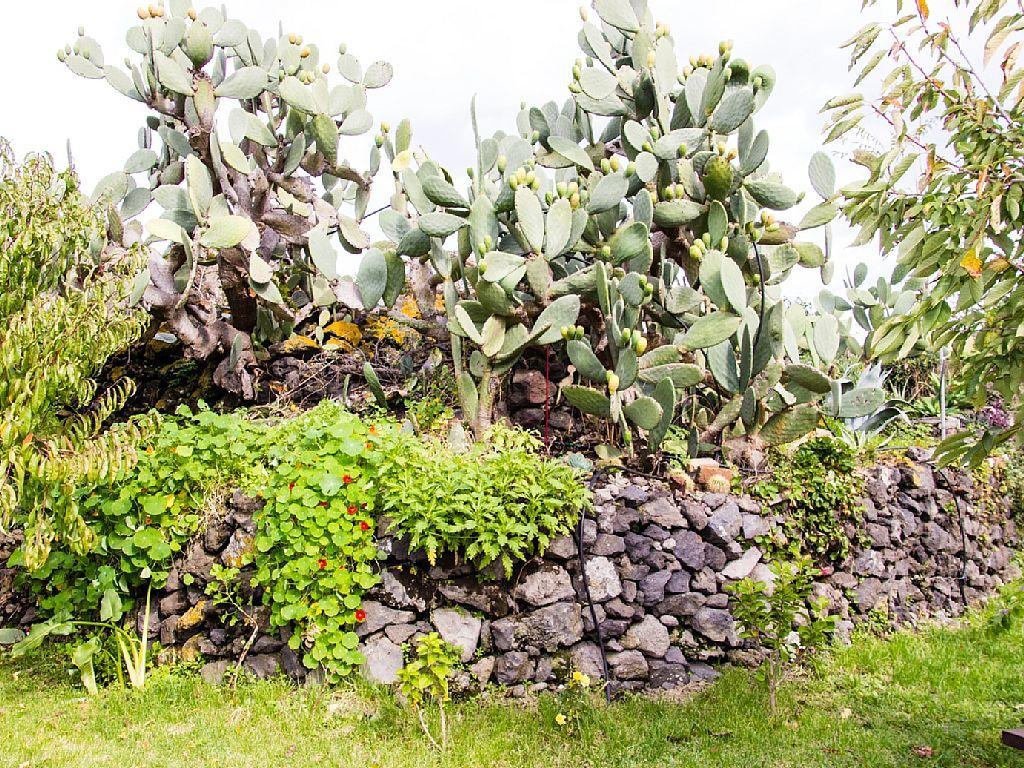 Casa Macchia Villa Giarre Eksteriør bilde